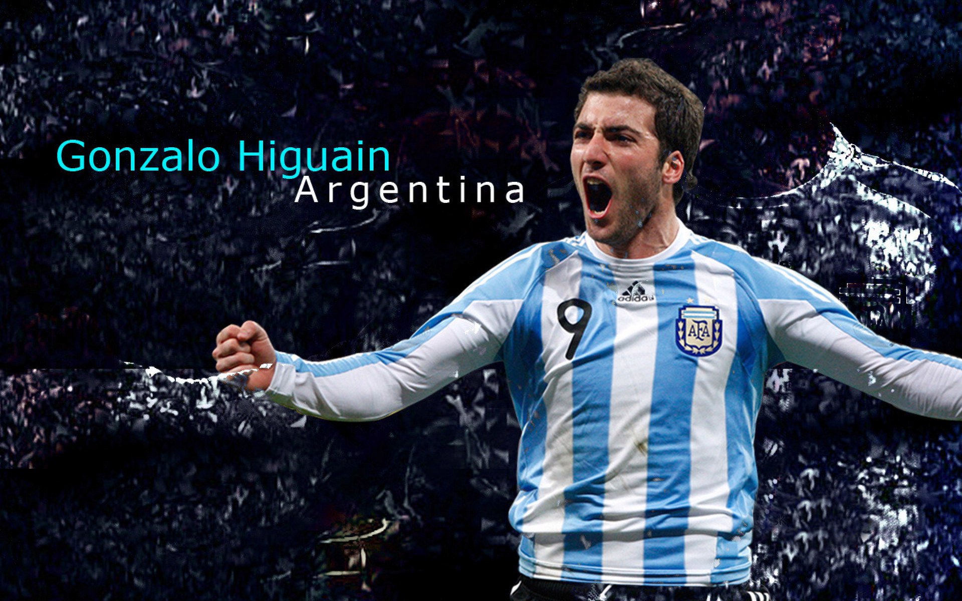 《Rookie:稳步前行,以实力登顶》