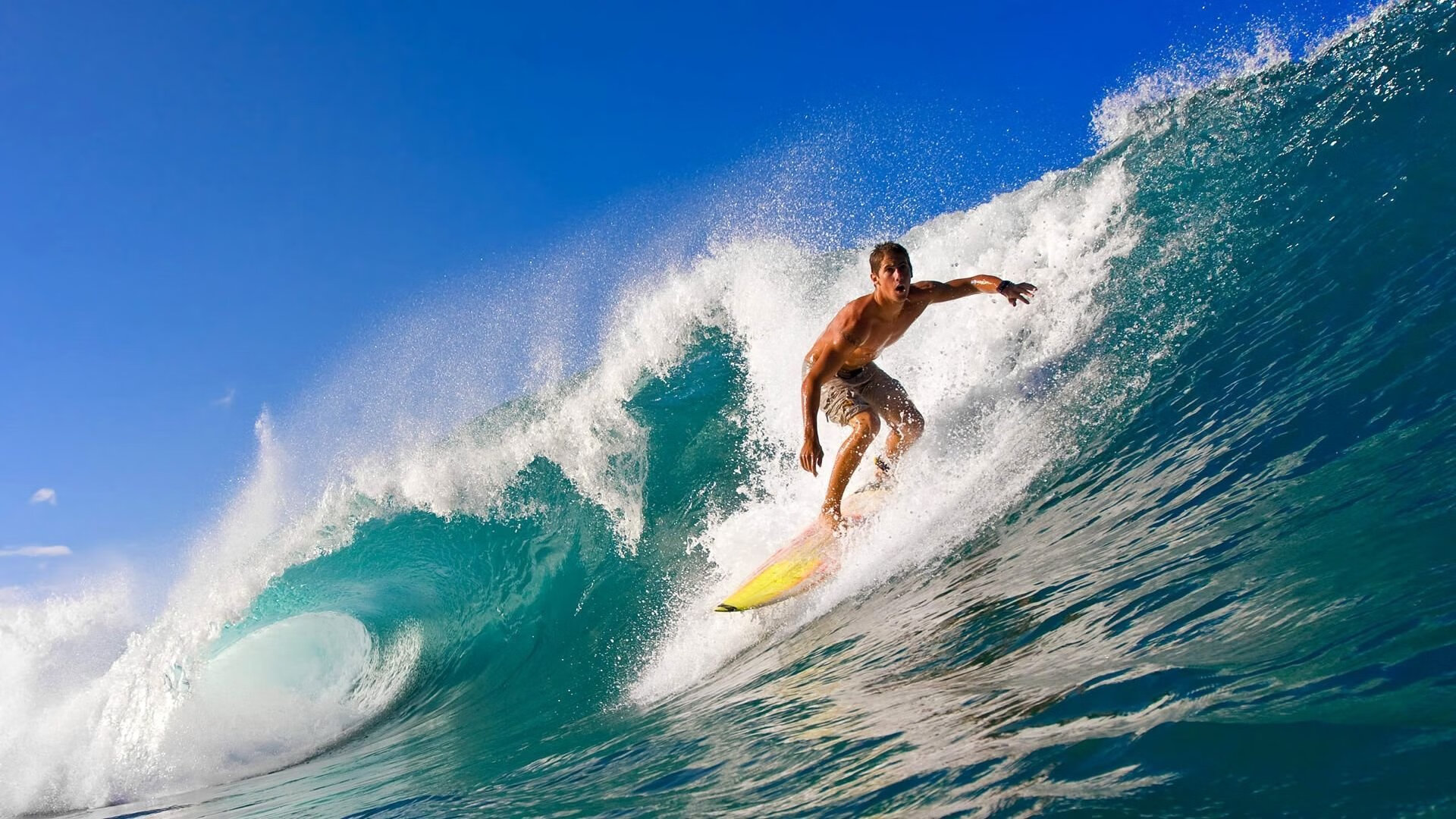 AYX SPORTS-小组赛“黑马”球队的奇迹故事，nba黑马球队