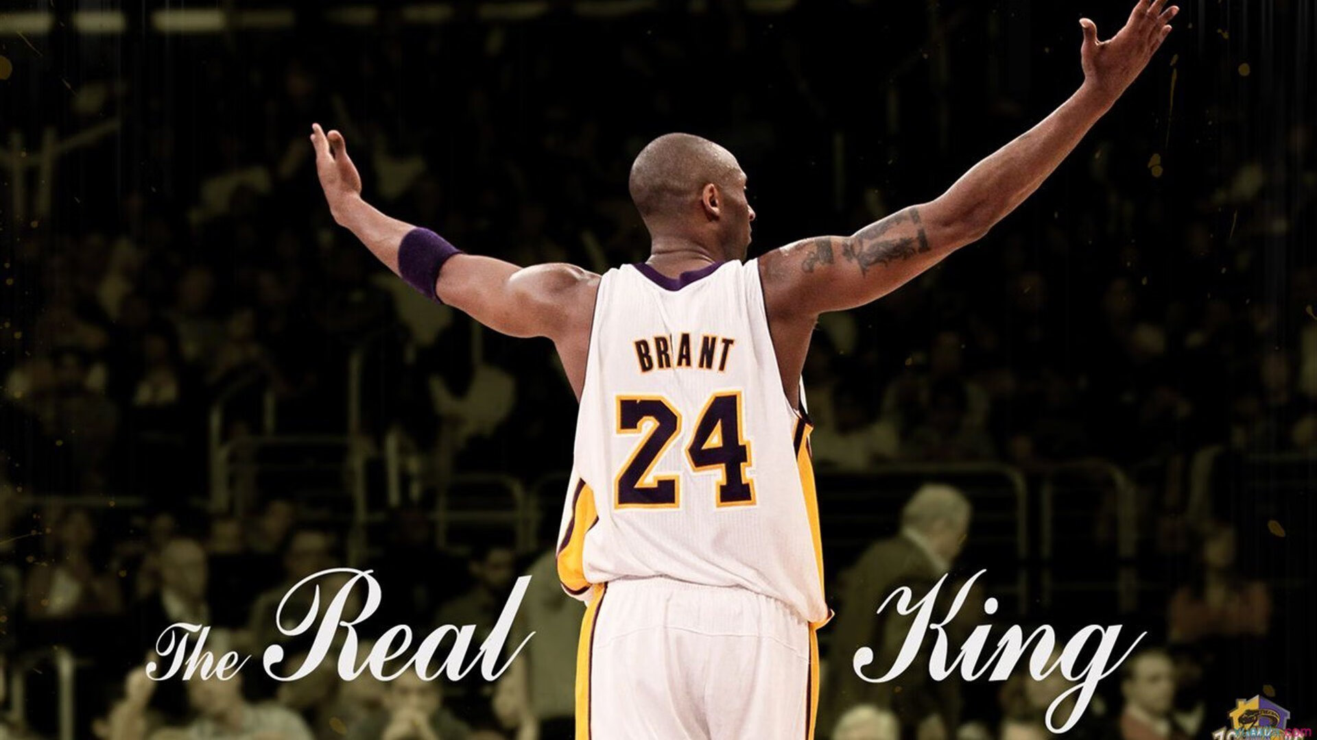 电竞行业的社会责任：健康游戏与公益事业，游戏电竞行业基本情况